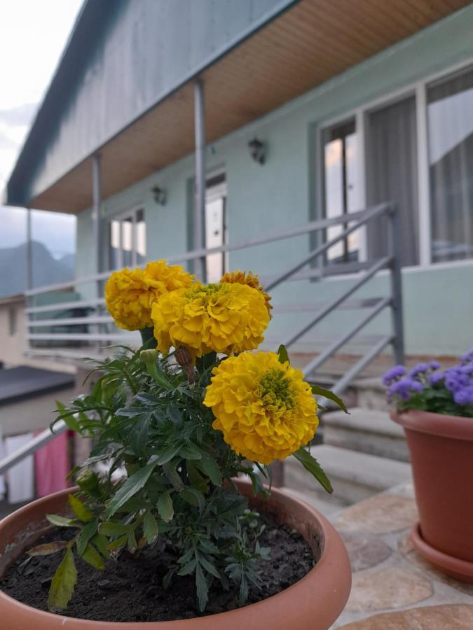 Kera Guest House Stepantsminda Exterior photo